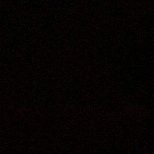 Meet your Posher, Brady